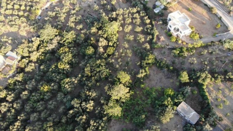 Ag. Pavlos bei Gavalochori Kreta, Ag. Pavlos: Malerisches Grundstück in der Nähe von Gavalochori zum Verkauf Grundstück kaufen